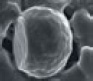 ME_MSZ-FH> <b>«Plasma Quad» вимкнена<br>
</b></i><br>
<img width= ME_MSZ-FH_2.jpg